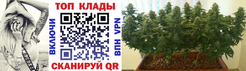 Купить наркотики цена Суровикино A-PVP КОКАИН АМФЕТАМИН Бошки Шишки ГАШИШ kraken как войти Мефедрон