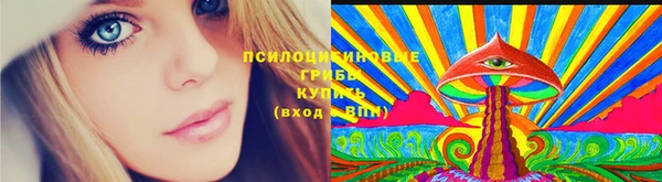 мяу мяу мука Белокуриха