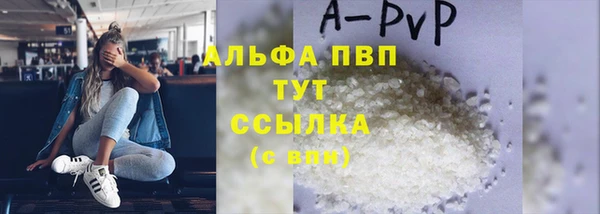 ПСИЛОЦИБИНОВЫЕ ГРИБЫ Богданович