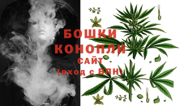 мдпв Богородицк