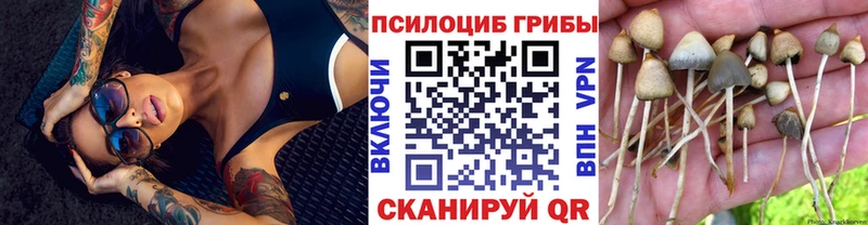 darknet Telegram  как найти закладки  hydra ссылки  Суровикино  Галлюциногенные грибы Cubensis 