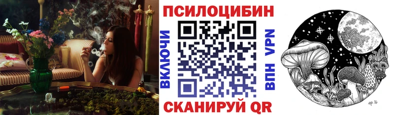 Галлюциногенные грибы Psilocybe Суровикино